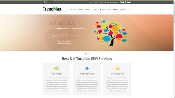 Websites: Treuemax Website