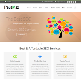Websites: Treuemax Website